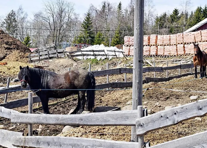 6 Person In Hurdal-by Traum *